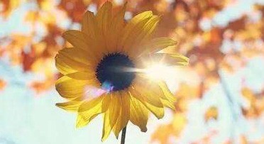 冬日送姜汤　温暖你我他(tā)